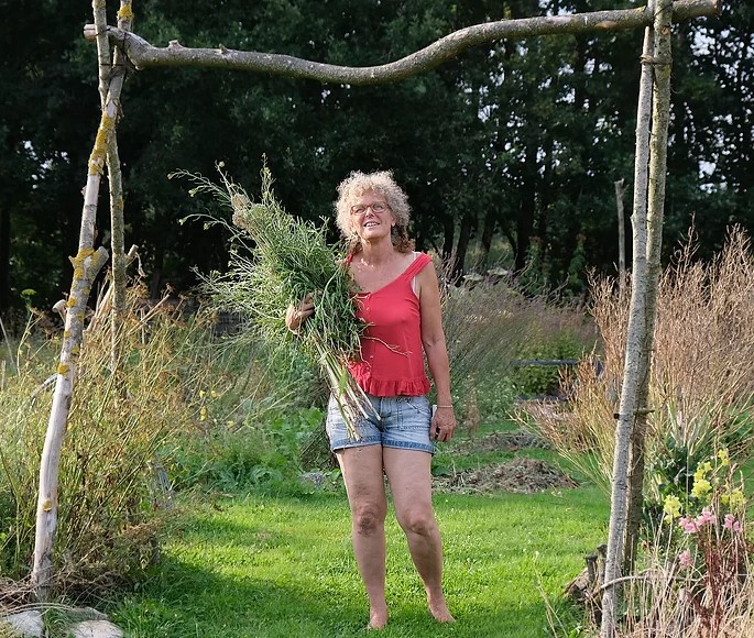 Land_van_Een_sity_moestuin